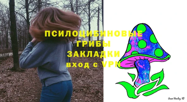apvp Белокуриха