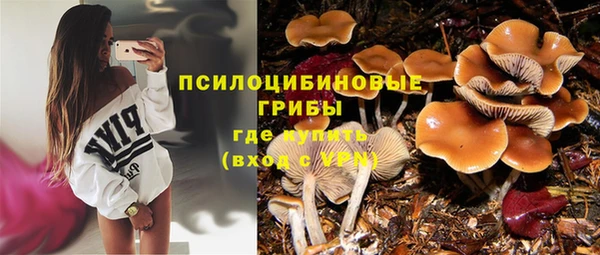 apvp Белокуриха