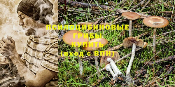 марки lsd Беломорск