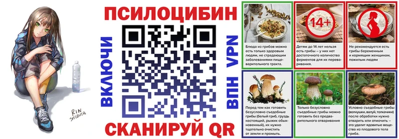 Псилоцибиновые грибы Psilocybine cubensis  где продают наркотики  Гулькевичи 