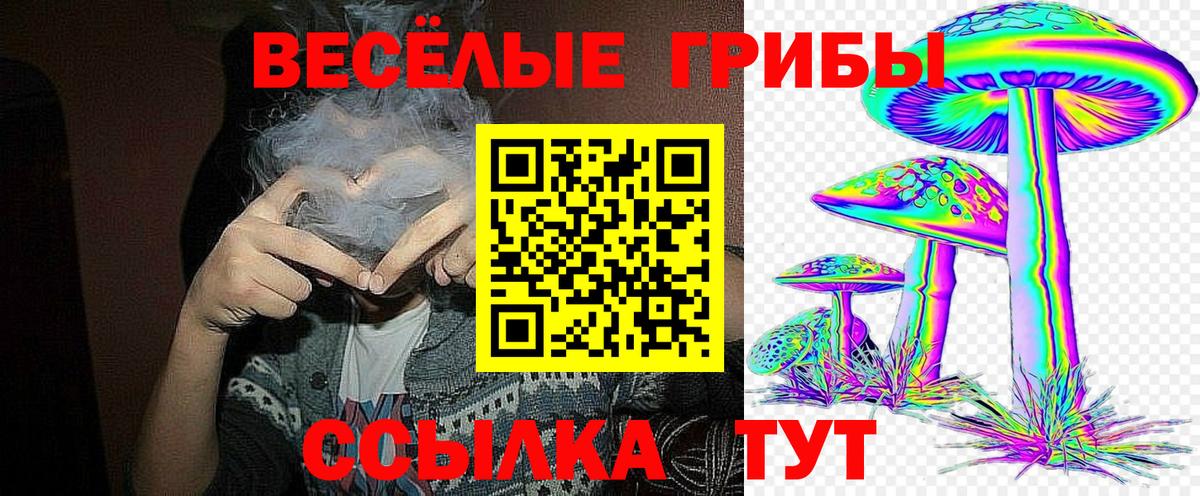 Гулькевичи  продажа наркотиков  Вход с VPN  Галлюциногенные грибы Cubensis 