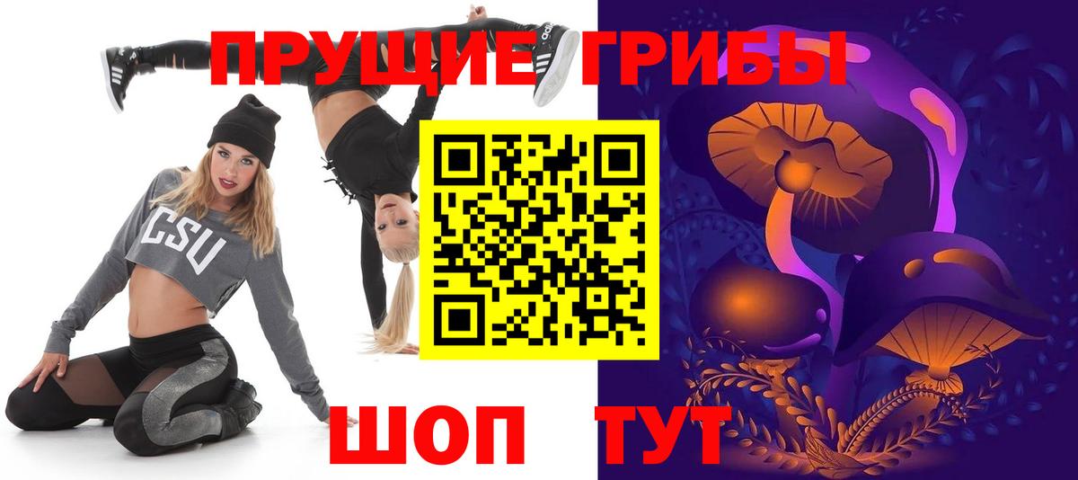 Галлюциногенные грибы Psilocybe Гулькевичи